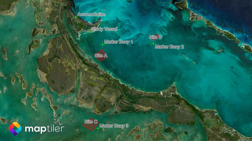 Global terrain basemap for QGIS | MapTiler